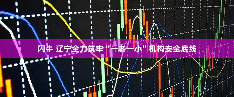 闪牛 辽宁全力筑牢“一老一小”机构安全底线