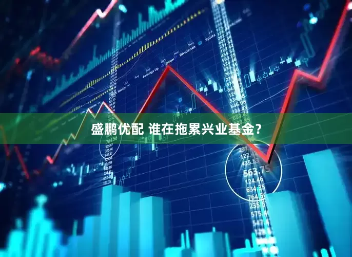 盛鹏优配 谁在拖累兴业基金？